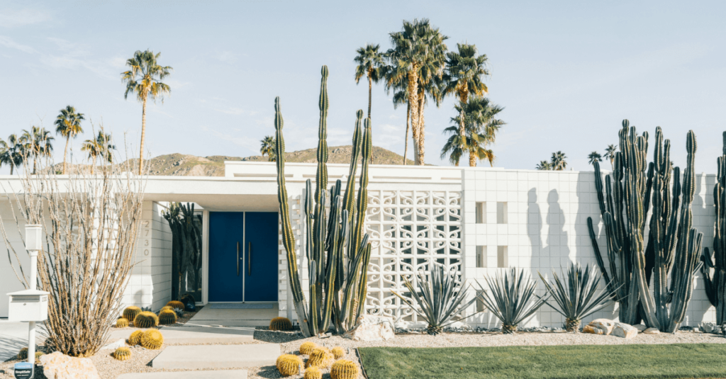 Discover Palm Springs & Joshua Tree: The Ultimate Guide with Remote Vans®