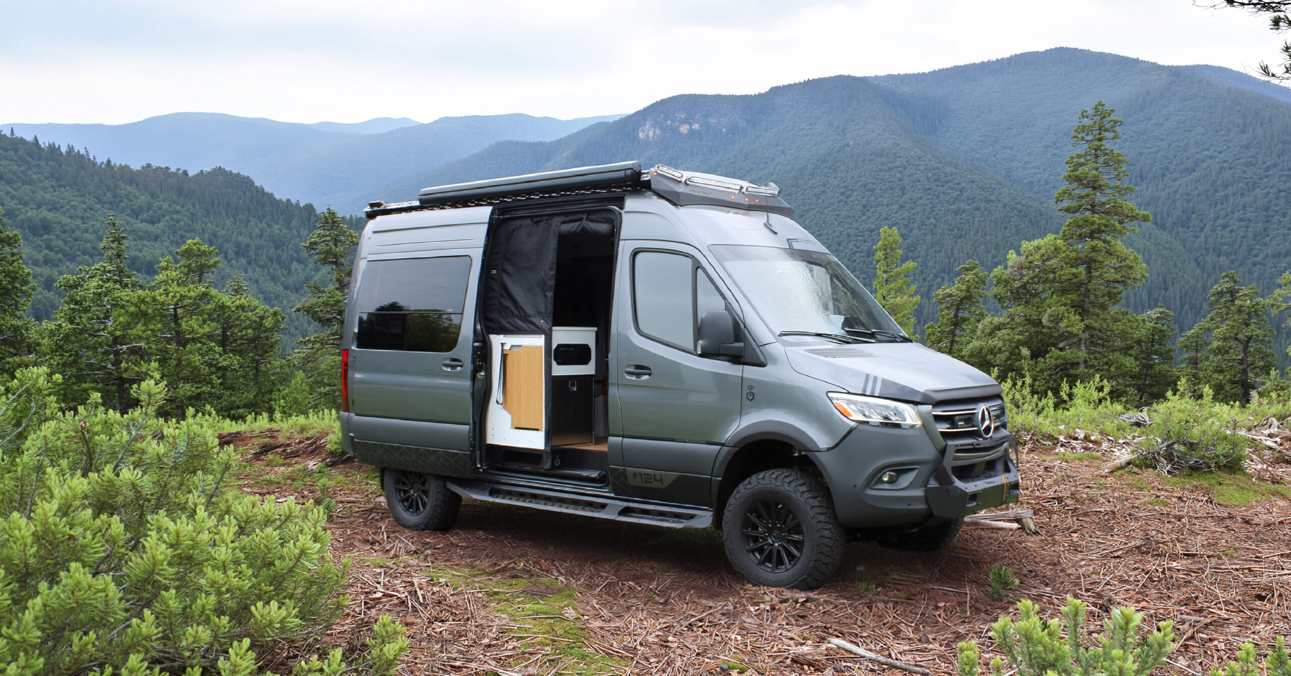 Aegis in the forest 